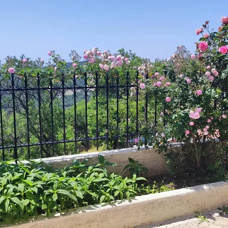 Fioravante 아르고스톨리온